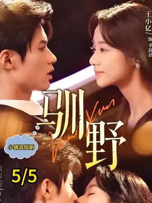 《我的阿勒泰》更新海报